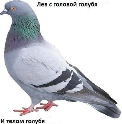 Прикрепленное изображение: Xdfk8Ol3ams (1).jpg